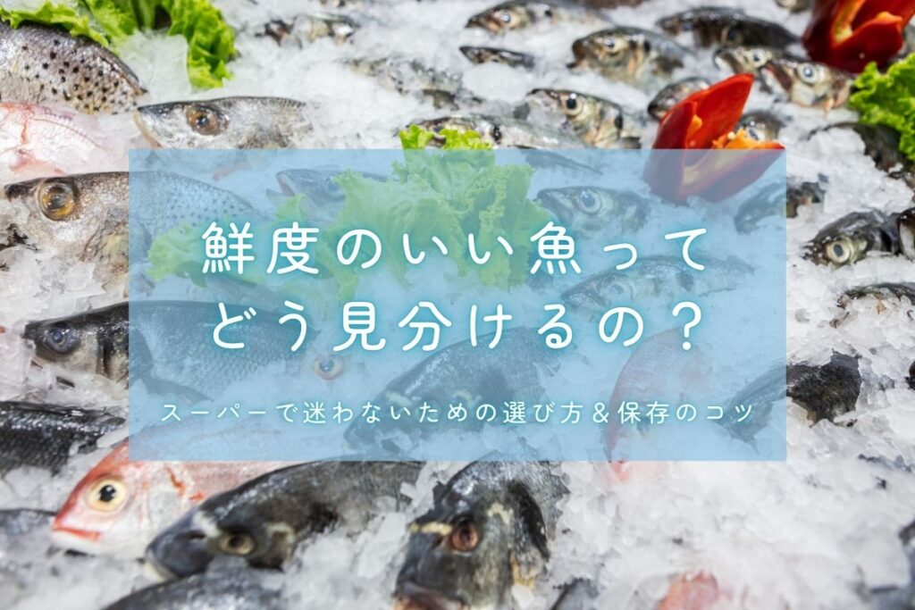 鮮度のいい魚ってどう見分けるの？スーパーで迷わないための選び方＆保存のコツ