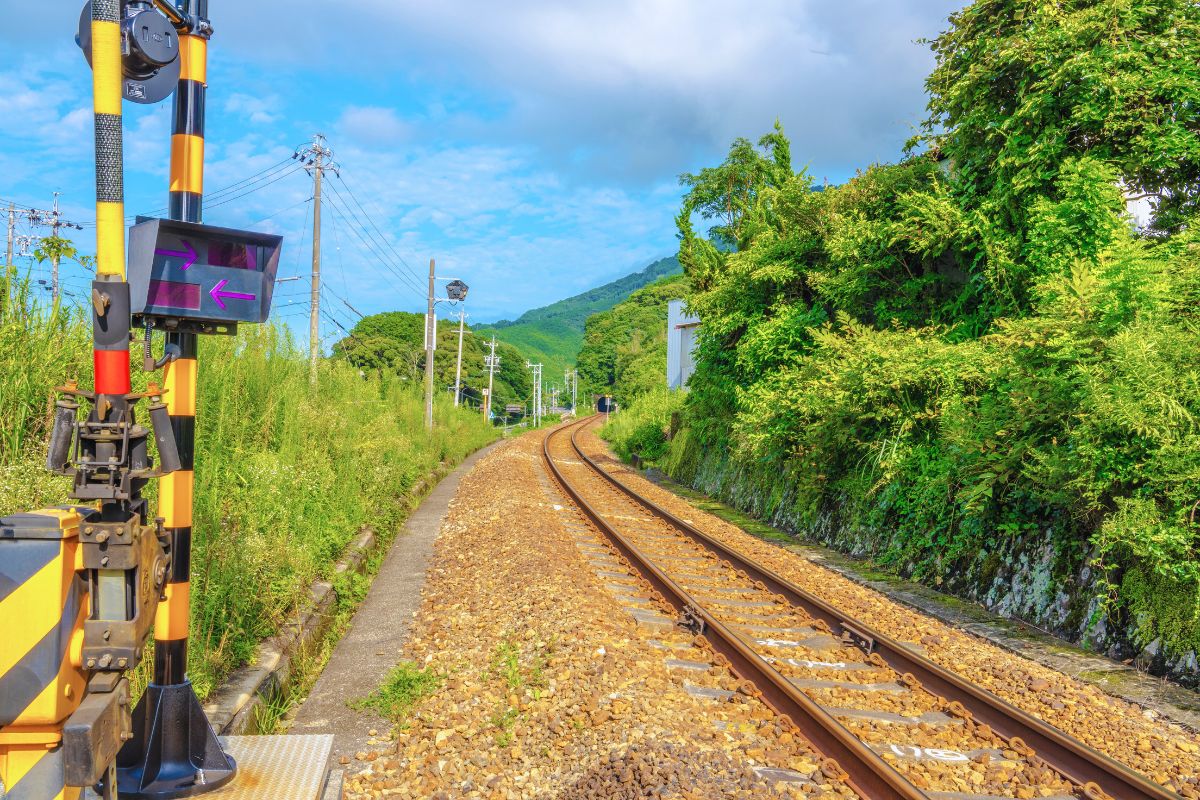 夏こそ海鮮料理を目的に旅行！おすすめの場所5選【関東起点】