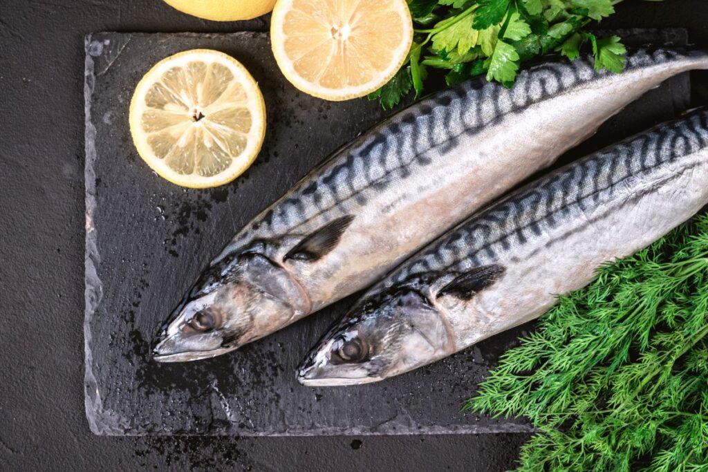 「日本人の魚離れ」って本当？データで見る食生活の変化と魚の価値