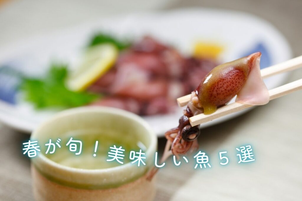 春が旬！美味しい魚５選をわかりやすく解説