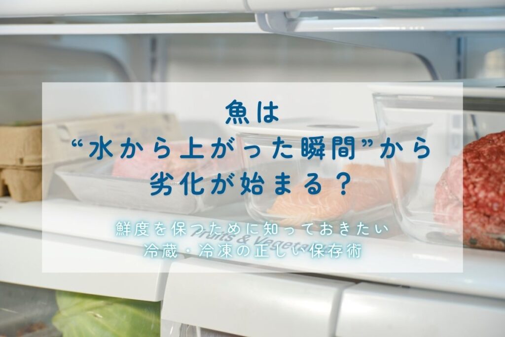 魚は“水から上がった瞬間”から劣化が始まる？鮮度を保つために知っておきたい冷蔵・冷凍の正しい保存術